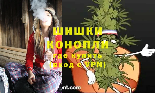 PSILOCYBIN Белокуриха