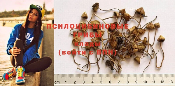 крисы Балабаново